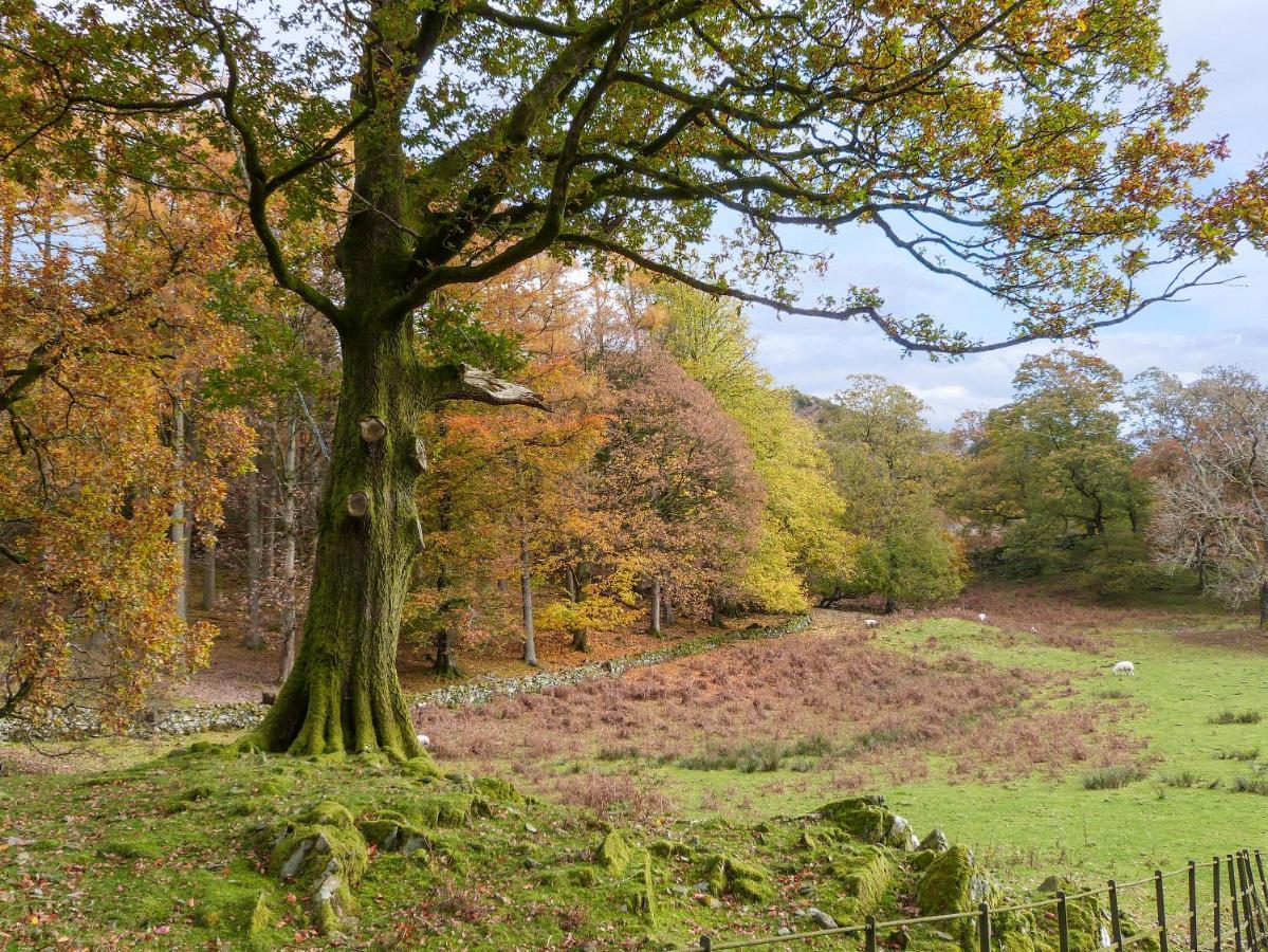 Cherry - Woodland Cottages Bowness-on-Windermere Esterno foto